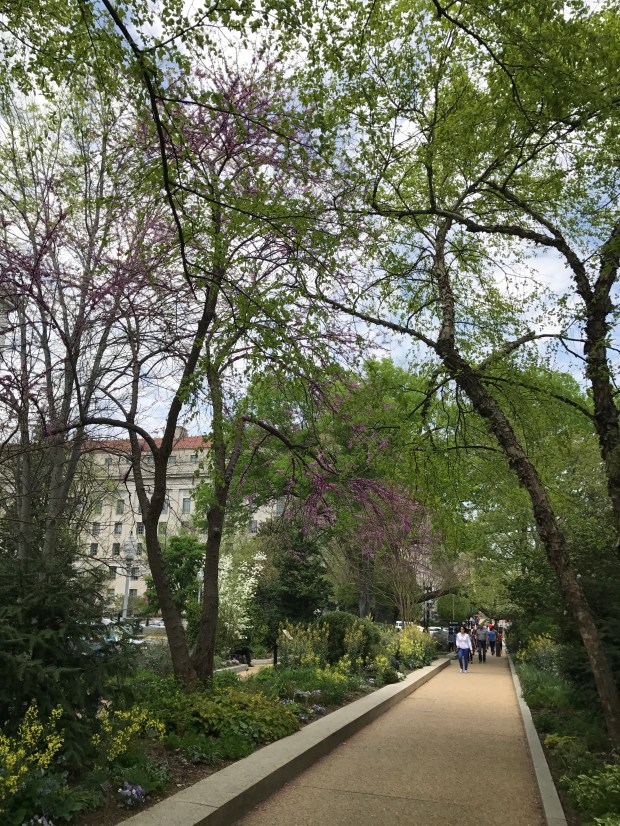 2017 Washington DC (63)